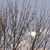 Jill Meadows-Challis's profile image