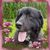 Cathy Skidmore Moyer's profile image