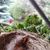 Cheryl Calhoun Loomis's profile image