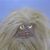 Corbin James's profile image