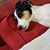 Karen Jardine's profile image