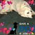 Tammie Lou Van Sant's profile image