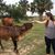 Whitney Helton's profile image