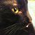 Sheri Mull Yingling's profile image