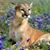 Sarah Hart Cales's profile image