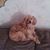 Mary Walters's profile image