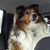 Kate Bessette's profile image