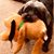 Eileen Stremlow's profile image
