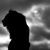Shaun Castellana's profile image