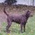 Doug Winters's profile image