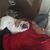 Kevin Kentish's profile image