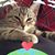Karen Maserjian's profile image