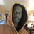 Bruce Tell's profile image