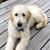 Clair Murray's profile image