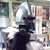 James T Quirk's profile image