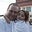 John Craig's profile image
