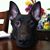Heather Marisa Garlick's profile image