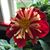 Anne Clark's profile image