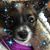 Susan Reynolds Leonhardt's profile image