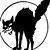 Gareth Edward's profile image