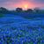 Ted Maynard's profile image