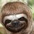 Xman Moore's profile image
