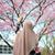 Mony Mohamed's profile image