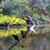 Melanie McSpadden Smith's profile image