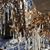 Christina Burback Septer's profile image