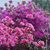 Rebecca Angell's profile image