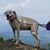 Kathleen Medeiros Watkins's profile image