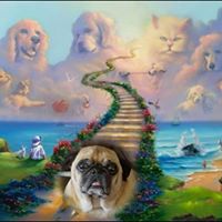Angelo Soto's profile image