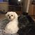 Joan Marie's profile image