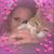 Bonnie Anderson's profile image