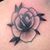 Bridget Sunshine Vogler's profile image