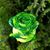 Stacey Groesbeck's profile image