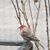 Sharron Tufts's profile image