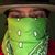 Matthew Buckingham's profile image