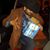 Francisco Barriga Santiago's profile image