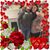 Theresa Tittle's profile image