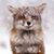 Elizabeth Mueller Spratley's profile image