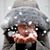 Carol Hewitt's profile image