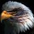 Lorraine Antonio's profile image