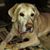 Donna Richardson's profile image