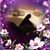 Penny Grieme's profile image