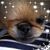Linda Maxwell's profile image
