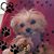 Katie Wilson's profile image