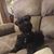 Wendy Cravener's profile image