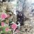 Sherry Smith Devroy's profile image