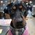Jamie Kasperek's profile image